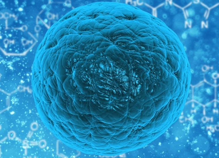Cellule