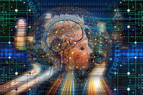 Cerveau
